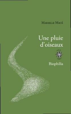 une-pluie-d-oiseaux