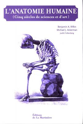 anatomie-humaine-l-