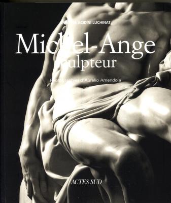 michel-ange-sculpteur