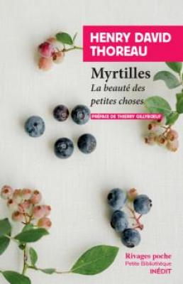 myrtilles-la-beaute-des-petites-choses