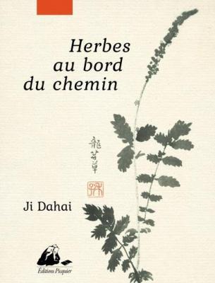 herbes-au-bord-du-chemin