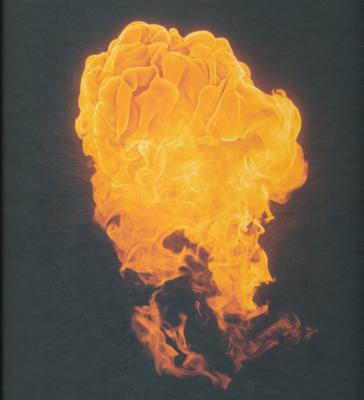 jean-baptiste-huynh-lumiere