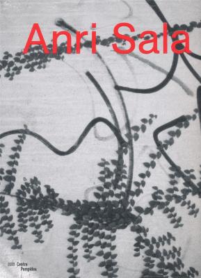 anri-sala