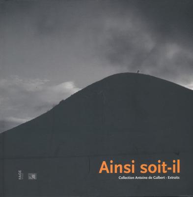 ainsi-soit-il-collection-antoine-de-galbert-exposition-lyon-musee-des-beaux-arts-de-lyon-16-se
