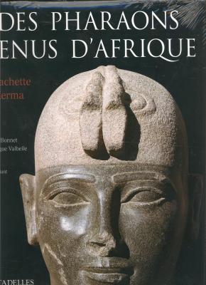 les-pharaons-venus-d-afrique