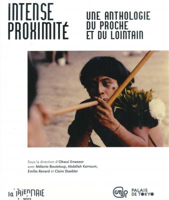 trienale-2012-intense-proximite-anthologie-du-proche-et-du-lointain-francais-palais-de-tokyo