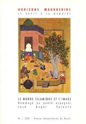 le-monde-islamique-et-l-image