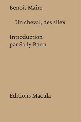 un-cheval-des-silex
