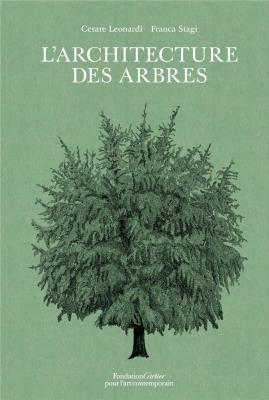 l-architecture-des-arbres