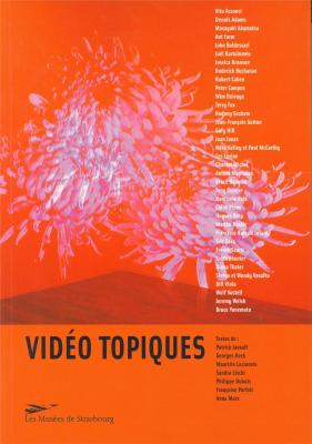 video-topiques-tours-et-retours-de-l-art-video
