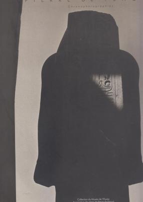 pierre-de-fenoyl-chronophotographies