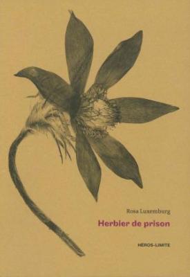 herbier-de-prison-1915-1918-