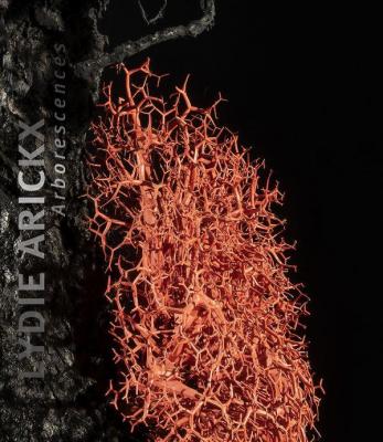 lydie-arickx-arborescences