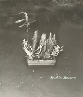 joachim-mogarra-1981-1993-