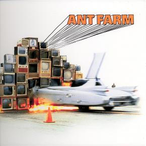 ant-farm-