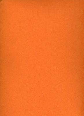 philippe-cognee-musee-des-beaux-arts-d-anger