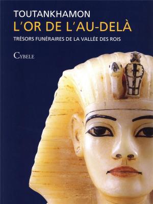 toutankhamon-l-or-de-l-au-dela-tresors-funeraires-de-la-vallee-des-rois-