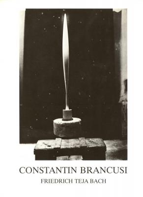 constantin-brancusi-metamorphosen-plastischer-form-