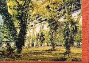 peter-bialobrzeski-paradise-now