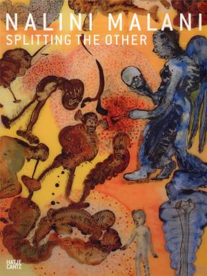 nalini-malani-splitting-the-other-