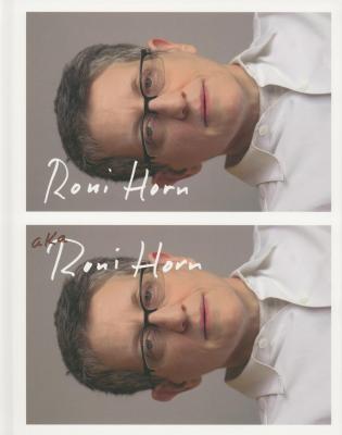 roni-horn-aka-roni-horn-anglais
