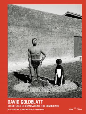 david-goldblatt-structures-de-domination-et-de-dEmocratie