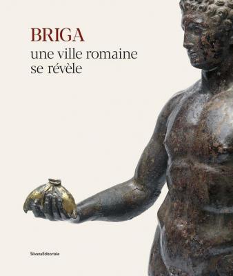 briga-une-ville-romaine-se-rEvEle