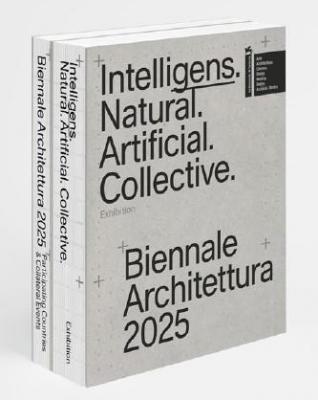 biennale-architettura-2025-intelligens-natural-artificial-collective