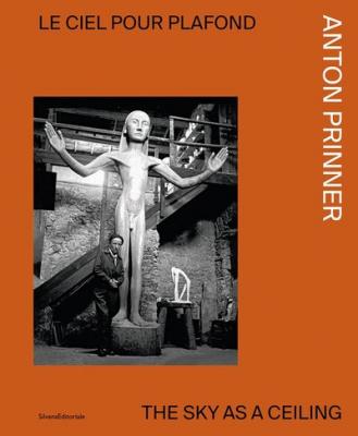 anton-prinner-le-ciel-pour-plafond