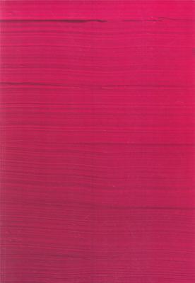 pedro-cabrita-reis-the-silence-within
