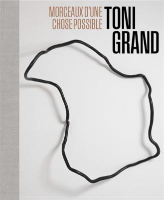 toni-grand-morceaux-d-une-chose-possible