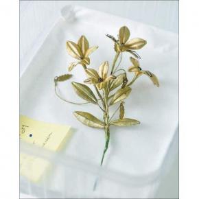berlinde-de-bruyckere-it-almost-seemed-a-lily