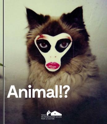 animal-