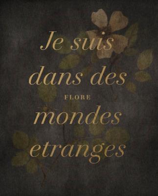 je-suis-dans-des-mondes-etranges.-sand-et-chopin