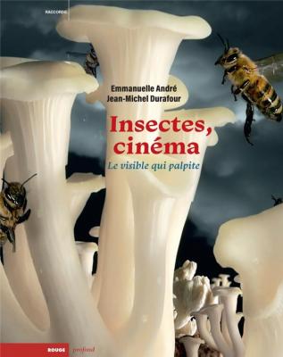 insectes-et-cinema-le-visible-qui-palpite