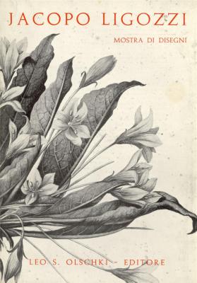 jacopo-ligozzi-1547-1626-mostra-di-disegni-